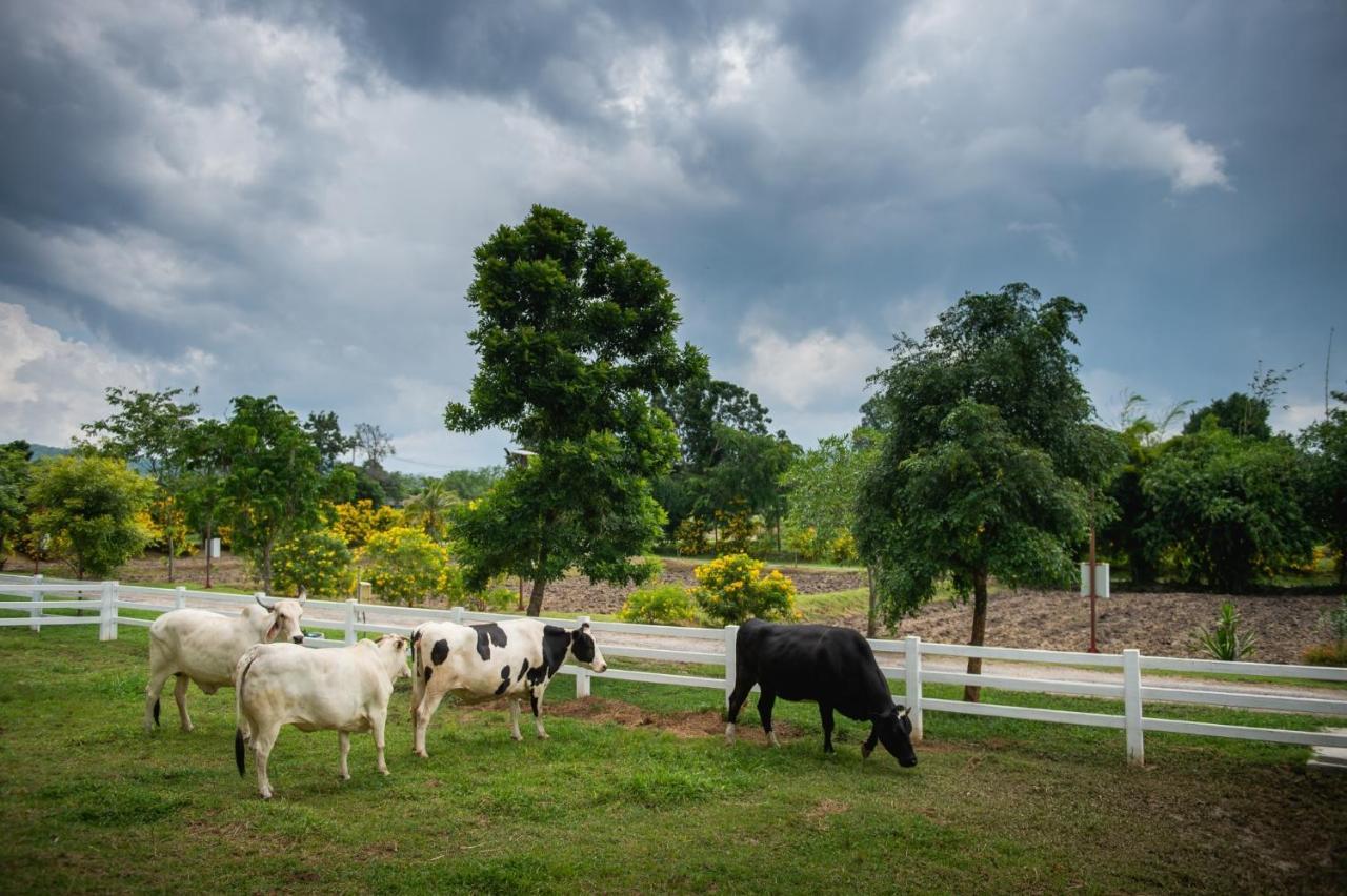 Green Me Organic Farm Stay Khaoyai Ban Khlong Yang Exterior photo