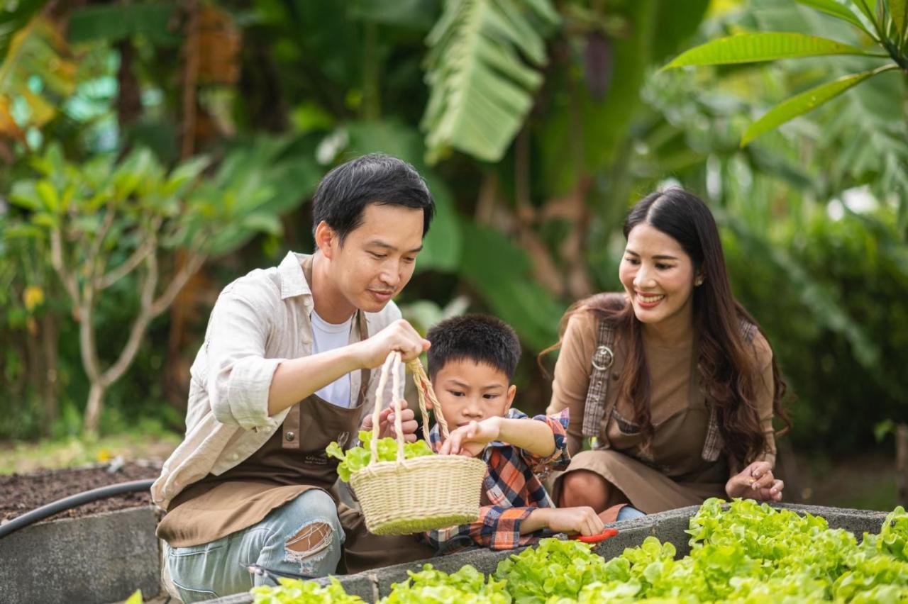Green Me Organic Farm Stay Khaoyai Ban Khlong Yang Exterior photo